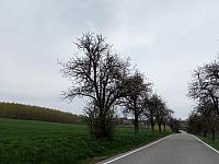 Lukovany