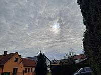 Olešná