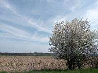 Lukovany