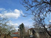 Olešná