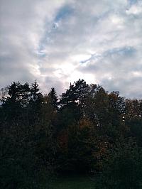 Hvozdnica