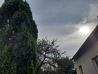 Olešná