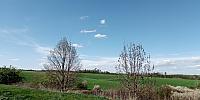 Lukovany