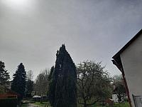 Olešná