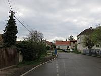 Třibřichy