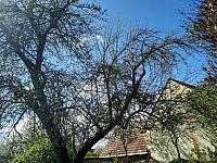 Mezná 