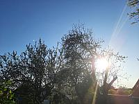 Mezná 