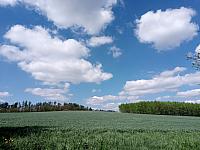 Lukovany