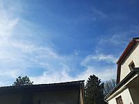 Olešná