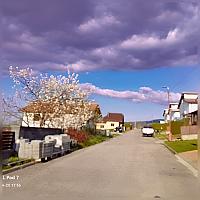 Nižná