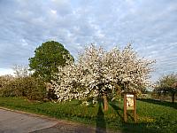Dětenice-Brodek