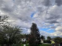 Olešná
