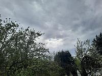 Olešná