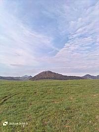 Nižná