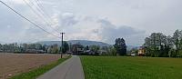 Ropice