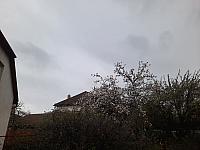 Olešná