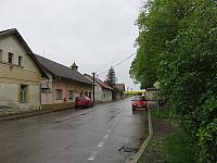 Třibřichy