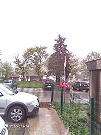 Nižná