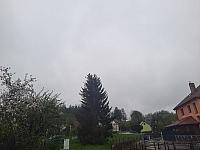 Olešná