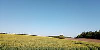 Lukovany
