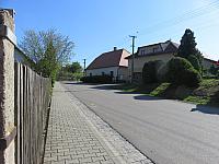 Třibřichy