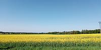 Lukovany