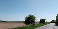 Lukovany