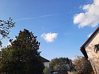 Olešná