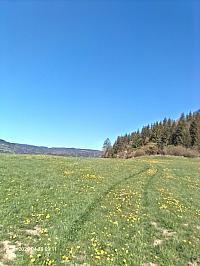 Nižná
