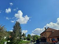 Olešná