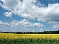 Lukovany