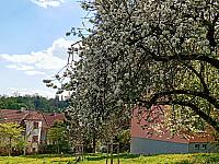 Třebíč-Borovina