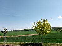 Lukovany