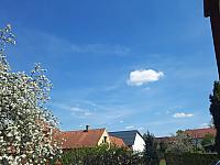 Olešná