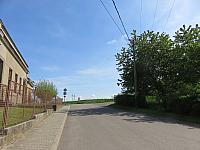 Třibřichy