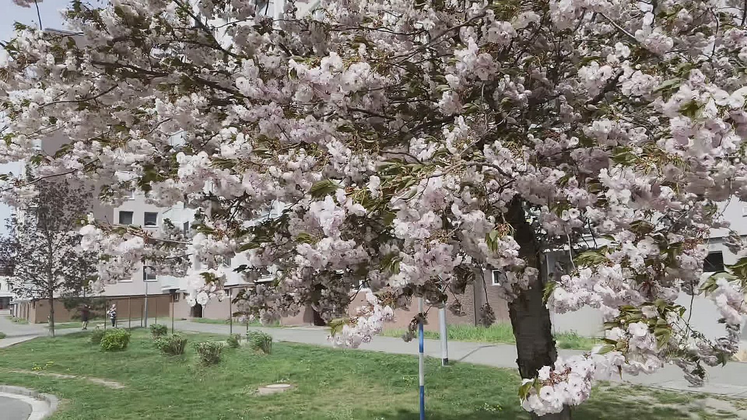 Hradec Králové - Třebeš