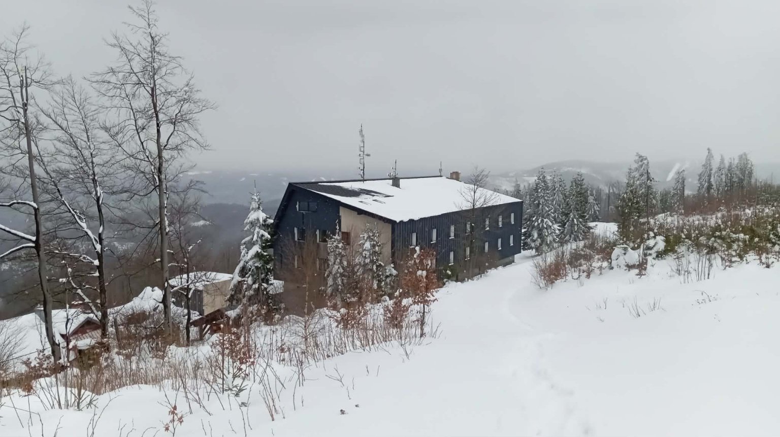 Kozubová
