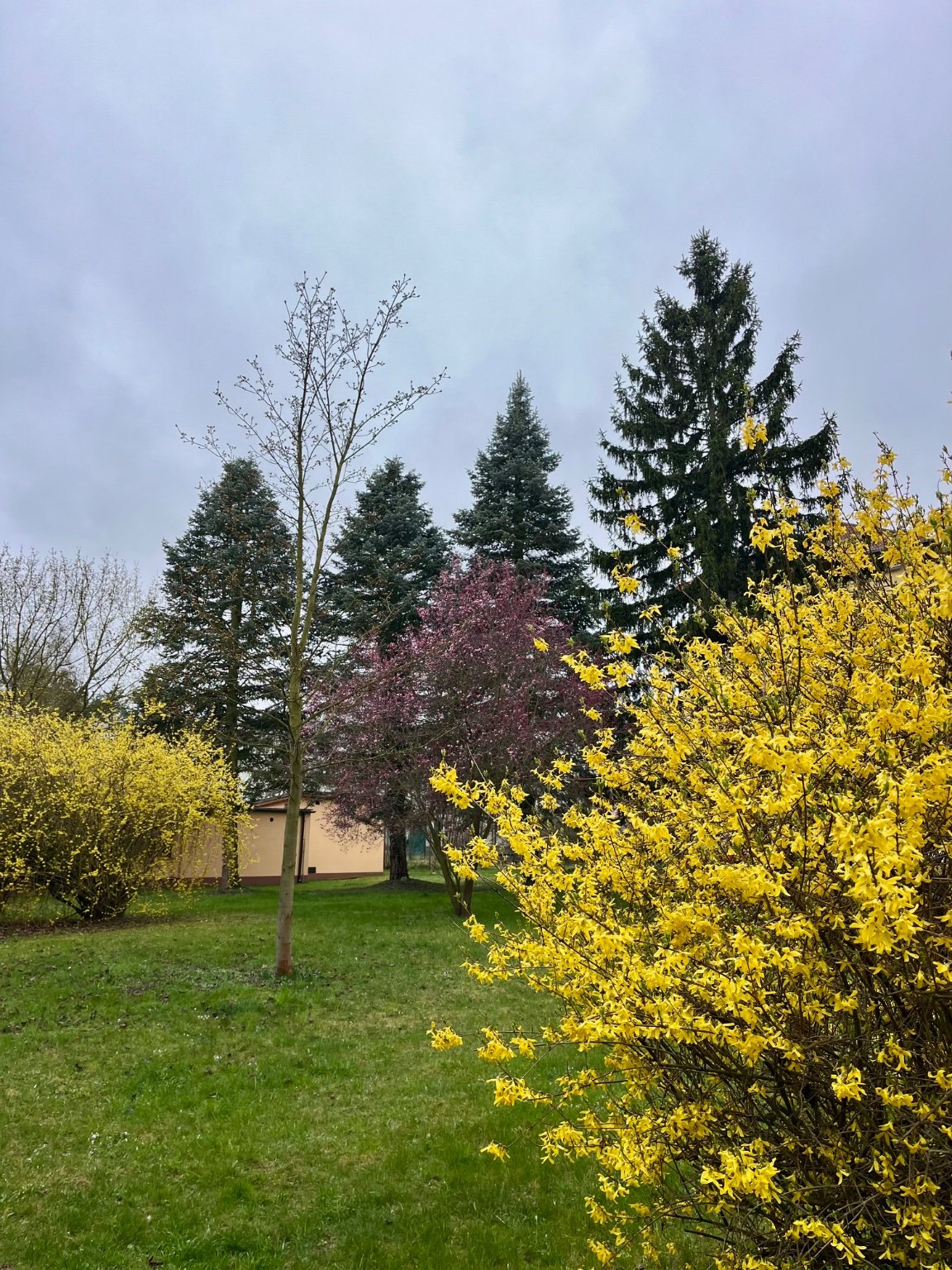 Dobříš