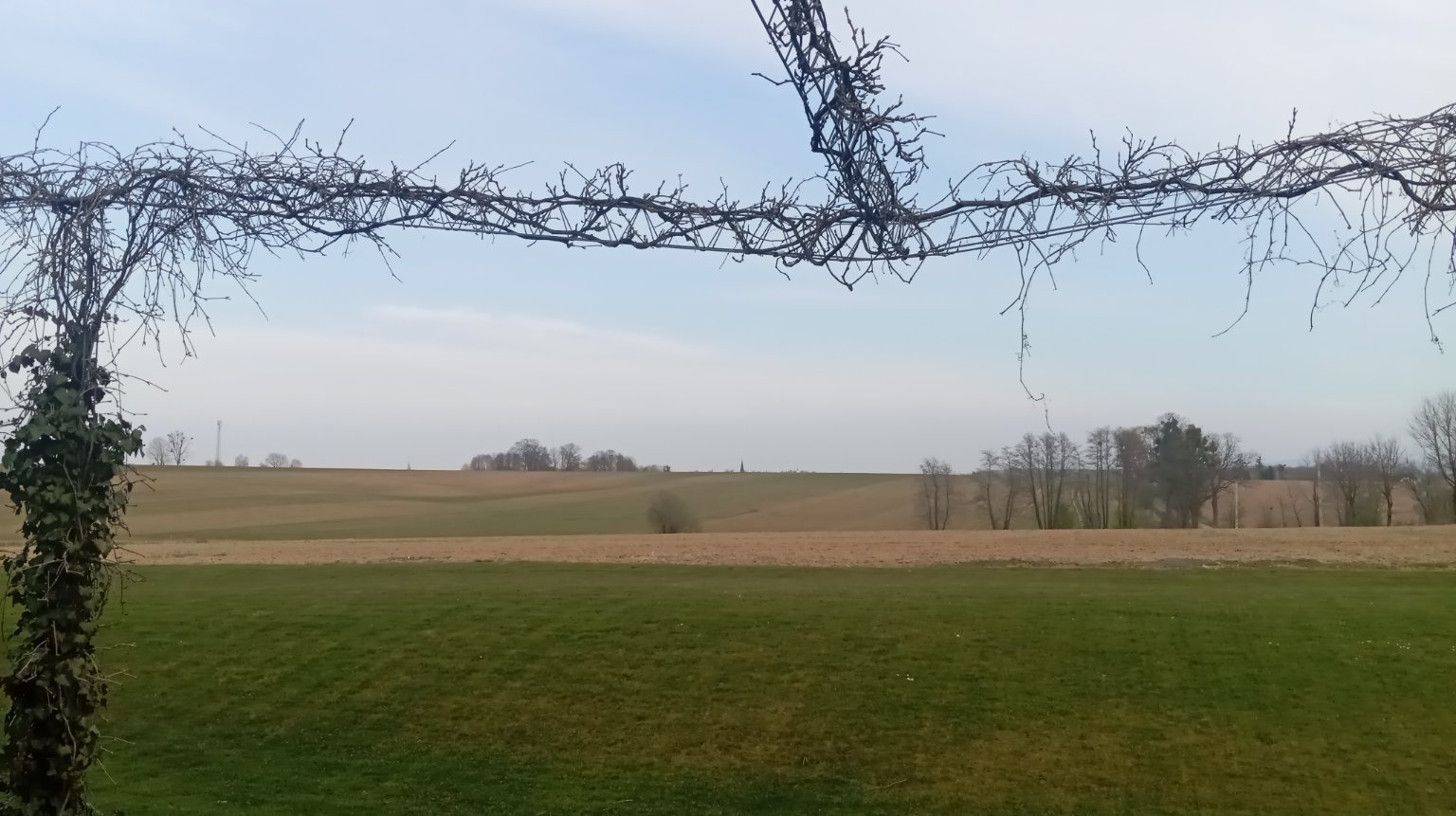Dębowiec