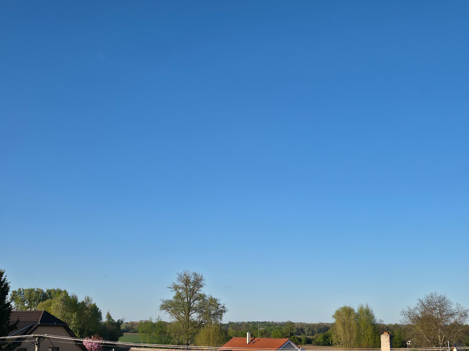 Odrovice
