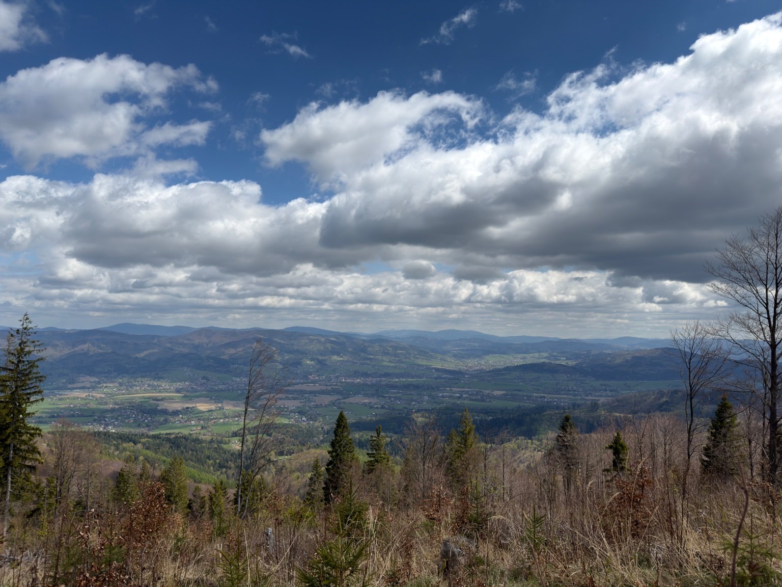 Kozubová