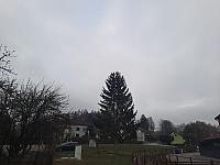 Olešná