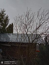 Stará Bystrica