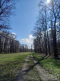 Svatý Mikuláš