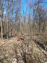 Svatý Mikuláš