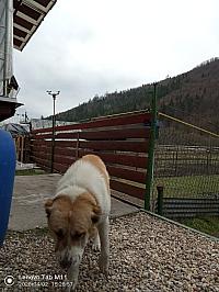 Stará Bystrica