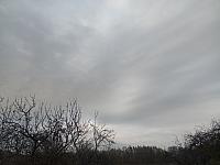 Kopřivnice, Vlčovice