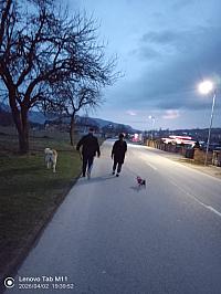 Stará Bystrica