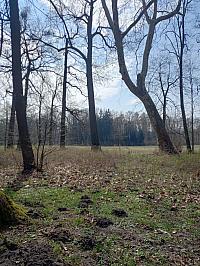 Svatý Mikuláš