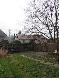 Třibřichy